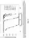 Fig. 10 - GLUCANASES, NUCLEIC ACIDS ENCODING THEM AND METHODS FOR MAKING AND USING THEM