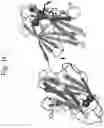 Fig. 03 - Collagen-binding agent compositions and methods of using the same