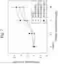Fig. 09 - Collagen-binding agent compositions and methods of using the same