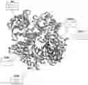 Fig. 01 - Thermostable reverse transcriptase