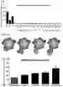 Fig. 02 - Methods of modulating expression of target nucleic acid sequences in a cell