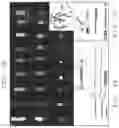 Fig. 02 - Compositions and methods for mammalian genetics and uses thereof
