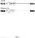 Fig. 02 - ADENOVIRAL-BASED BIOLOGICAL DELIVERY AND EXPRESSION SYSTEM FOR USE IN THE TREATMENT OF OSTEOARTHRITIS