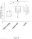 Fig. 06 - ADENOVIRAL-BASED BIOLOGICAL DELIVERY AND EXPRESSION SYSTEM FOR USE IN THE TREATMENT OF OSTEOARTHRITIS