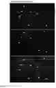 Fig. 02 - SYNP1, A PROMOTER FOR THE SPECIFIC EXPRESSION OF GENES IN INTERNEURONS