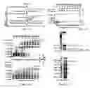 Fig. 02 - Methods for in vitro joining and combinatorial assembly of nucleic acid molecules