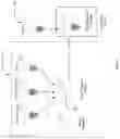 Fig. 06 - APPARATUS AND METHOD FOR SPECIFIC DETECTION AND QUANTIZATION OF NUCLEIC ACID