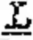 Fig. 28 - Polymerase-template complexes