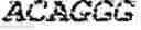 Fig. 47 - Polymerase-template complexes