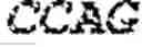 Fig. 48 - Polymerase-template complexes