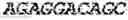 Fig. 52 - Polymerase-template complexes