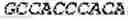 Fig. 53 - Polymerase-template complexes