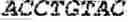 Fig. 65 - Polymerase-template complexes