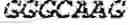 Fig. 67 - Polymerase-template complexes