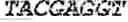 Fig. 75 - Polymerase-template complexes