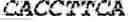 Fig. 79 - Polymerase-template complexes