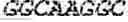 Fig. 87 - Polymerase-template complexes