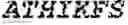 Fig. 99 - Polymerase-template complexes