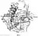 Fig. 02 - Conformational probes and methods for sequencing nucleic acids