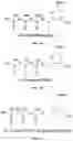 Fig. 04 - Conformational probes and methods for sequencing nucleic acids