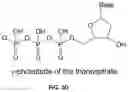 Fig. 05 - Conformational probes and methods for sequencing nucleic acids