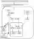 Fig. 01 - METHOD TO DISTINGUISH TUMOR SUPRESSIVE FOXO ACTIVITY FROM OXIDATIVE STRESS