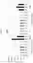 Fig. 23 - Modified oligonucleotides comprising thiol functions and use thereof for detecting nucleic acids
