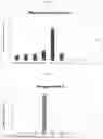Fig. 24 - Modified oligonucleotides comprising thiol functions and use thereof for detecting nucleic acids