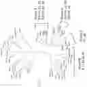 Fig. 02 - Detection of nucleic acids from multiple types of human papillomavirus