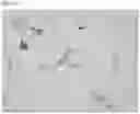 Fig. 20 - Aluminium alloys for structural and non-structural near net casting, and methods for producing same