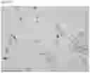 Fig. 30 - Aluminium alloys for structural and non-structural near net casting, and methods for producing same