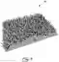 Fig. 04 - ARTIFICIAL TURF SYSTEM