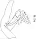 Fig. 09 - Structural components for lightweight tents
