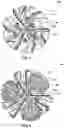 Fig. 04 - Earth-boring tools and related methods