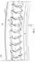 Fig. 05 - Gas turbine engine stator vane base shape