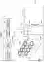 Fig. 02 - Engine cooling apparatus