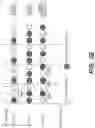 Fig. 06 - NVH management in diesel CDA modes