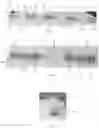 Fig. 05 - T-SLOT CONNECTION INSERT APPARATUSES AND METHODS OF MAKING AND USING THE SAME