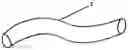 Fig. 02 - Fluid circulation pipe for motor vehicle, method for manufacturing same and use thereof as motor vehicle engine coolant hose