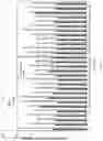 Fig. 07 - Method of diluting a metred quantity of a test fluid for analysis