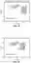 Fig. 08 - Parallel flow cytometer using radiofrequency multiplexing