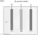 Fig. 02 - Electrochemical Stripping Analysis Using Vertically Free Standing Graphene containing Carbon Nanosheets as Electrode Materials