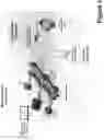 Fig. 02 - Delivery of aerosolized respiratory pathogens