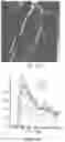 Fig. 71 - Genetically encoded biosensors