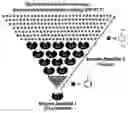 Fig. 01 - Amplification technology using dual enzyme cascade detection