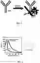Fig. 02 - Fluorescent methods and materials for directed biomarker signal amplification