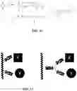 Fig. 07 - Fluorescent methods and materials for directed biomarker signal amplification
