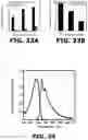 Fig. 22 - Fluorescent methods and materials for directed biomarker signal amplification