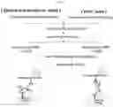 Fig. 07 - PROTEIN COMBINATION-BASED FV LIBRARY, AND PREPARATION METHOD THEREFOR