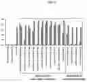 Fig. 08 - PROTEIN COMBINATION-BASED FV LIBRARY, AND PREPARATION METHOD THEREFOR